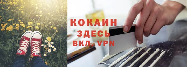 винт Арсеньев