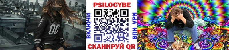Галлюциногенные грибы прущие грибы  Бодайбо 